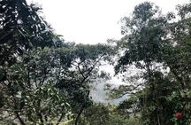 Chicaque Natural Park - Hiking or Birdwatching experience