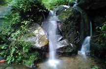 Chicaque Natural Park - Hiking or Birdwatching experience