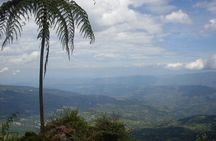 Chicaque Natural Park - Hiking or Birdwatching experience