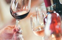 Vancouver City Tour With Grand Lunch and Wine