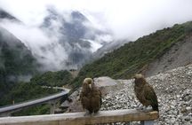 Lyttelton Shore Excursion: Arthur's Pass Day Tour