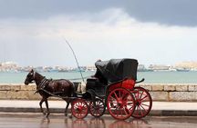 Alexandria Horse Carriage Tour 