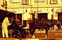 Alexandria Horse Carriage Tour 