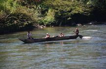 One day tour in the jungle. all inclusive.