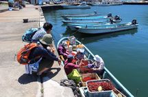 Explore Fishermen Island in Japan(Ise-Shima)