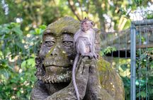 Private Full-Day Tour: Balinese Temples and Rice Terraces