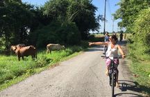 Full Day Cycling tour to Sukhothai Historical Park 