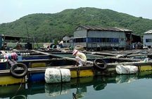 Authentic Fishing Village Tour with Great Seafood Lunch & Relaxing Beach Time