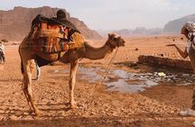 2 Hour Jeep Tour - Wadi Rum Desert & Canyon