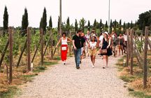 San Gimignano, Siena, Monteriggioni: Fully Escorted Tour, Lunch & Wine Tasting