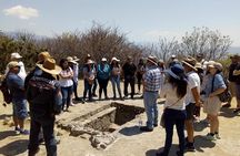 Monte Albán Walking Tour