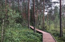 Lahemaa national park in Estonia