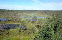 Lahemaa national park in Estonia