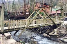 Private Day Trip From Istanbul to Lake Sapanca and Maşukiye Village