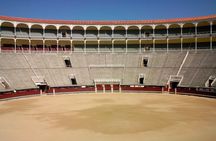 Las Ventas: Bullfighting Hall, Museum and Tour of the Bullring