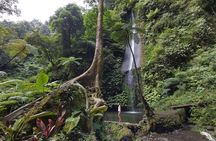 Bali Most Scenic Waterfalls Trekking