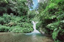 Bali Most Scenic Waterfalls Trekking