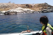 Zapallar and Cachagua Island Experience 