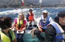 Zapallar and Cachagua Island Experience 