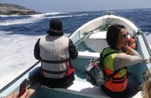 Zapallar and Cachagua Island Experience 