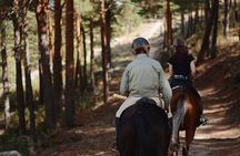 Horse Riding Madrid Natural Park
