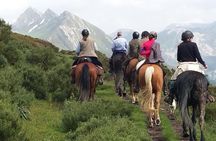 Horse Riding Madrid Natural Park (long Trip)