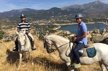 Horse Riding Madrid Natural Park (long Trip)