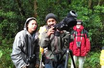 Monteverde Birdwatching Experience