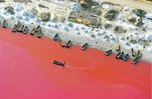 Bandia Park And Pink Lake