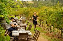 [PRIVATE TOUR] Mornington Peninsula Hot Springs | Winery & Sightseeing Tour 