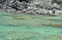 Private West Coast Beaches Tour with Snorkeling