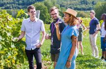 Wine and Lunch Escape