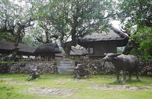 East Bali and Lempuyang Temple Tour