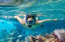Koh Tao and Koh Nangyuan Snorkeling Tour by Speedboat from Ko Samui