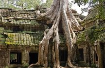 Three-wheeled exploration of the Angkor temples