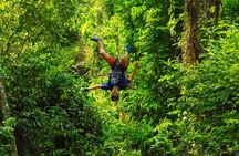 Best Ziplines Adventure 30 platforms with free transfer 