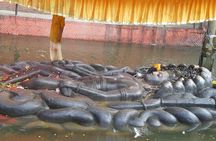 Monastery Hiking Tour 