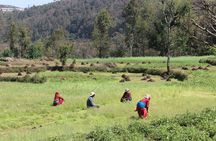 1 Night 2 Days ECO Trek