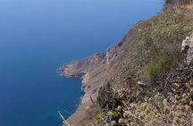 West Coast Mountains and Beaches (Fazayah beach + Shaat cliff) 