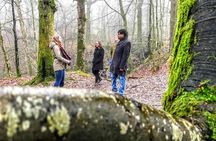 Lake District Adventure Sightseeing Day Trip from Liverpool