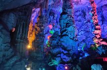 Half-Day Guilin City Tour: Reed Flute Cave and Tea Plantation