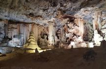 2 Day Garden Route Wildlife Safari - Small Group Tour