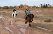 Marrakech Horse Riding