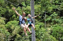  Zipline adventure on Mountain & Seaview (9 Platforms 1500 m.)