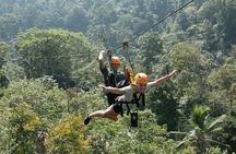  Zipline adventure on Mountain & Seaview (9 Platforms 1500 m.)