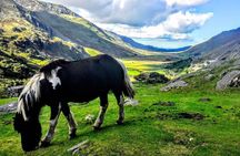 Full-Day North Wales Sightseeing Adventure from Manchester 