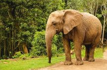 2 Day Garden Route Wildlife Safari - Small Group Tour