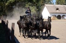 Horseshow on the Hungarian Puszta, private tour from Budapest with entry!
