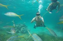 3 ADVENTURES: Sailing Catamaran Cruise - Hooka Diving - Snorkeling