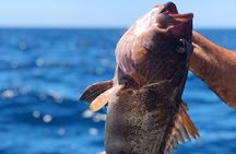Morning Fishing Half Day Charter